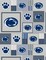 Sykel Enterprises-Penn State Fleece Fabric-Penn State University Grey Block Fleece Blanket Fabric-Sold by the yard